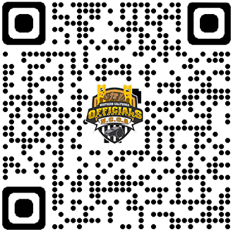 web qr code only c0410